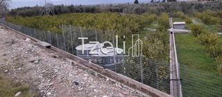 Οικόπεδο 7.800 τ.μ. για πώληση, Αχαΐα, Διακοπτό-thumb-11