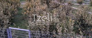 Οικόπεδο 7.800 τ.μ. για πώληση, Αχαΐα, Διακοπτό-thumb-13