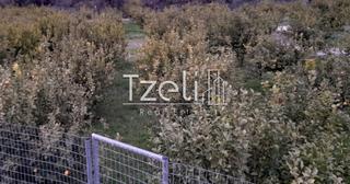 Οικόπεδο 7.800 τ.μ. για πώληση, Αχαΐα, Διακοπτό-thumb-14