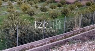 Οικόπεδο 7.800 τ.μ. για πώληση, Αχαΐα, Διακοπτό-thumb-16