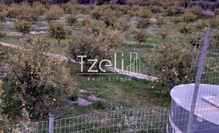 Οικόπεδο 7.800 τ.μ. για πώληση, Αχαΐα, Διακοπτό-thumb-17