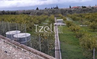 Οικόπεδο 7.800 τ.μ. για πώληση, Αχαΐα, Διακοπτό-thumb-18