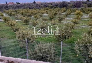 Οικόπεδο 7.800 τ.μ. για πώληση, Αχαΐα, Διακοπτό-thumb-19