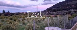 Οικόπεδο 7.800 τ.μ. για πώληση, Αχαΐα, Διακοπτό-thumb-22