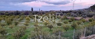Οικόπεδο 7.800 τ.μ. για πώληση, Αχαΐα, Διακοπτό-thumb-23