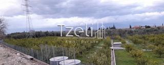 Οικόπεδο 7.800 τ.μ. για πώληση, Αχαΐα, Διακοπτό-thumb-25