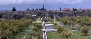 Οικόπεδο 7.800 τ.μ. για πώληση, Αχαΐα, Διακοπτό-thumb-26