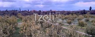 Οικόπεδο 7.800 τ.μ. για πώληση, Αχαΐα, Διακοπτό-thumb-28