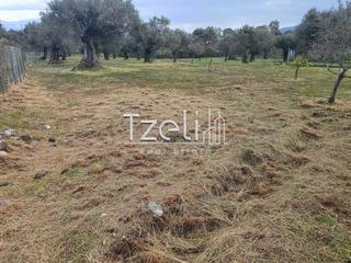 Οικόπεδο 2.500 τ.μ. για πώληση, Αχαΐα, Ρίο-thumb-4