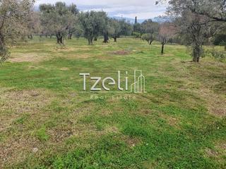 Οικόπεδο 2.500 τ.μ. για πώληση, Αχαΐα, Ρίο-thumb-14