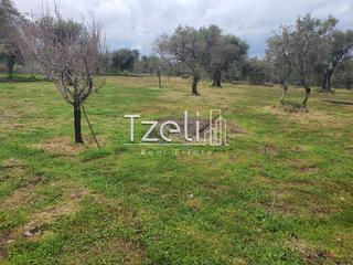 Οικόπεδο 2.500 τ.μ. για πώληση, Αχαΐα, Ρίο-thumb-21