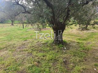 Οικόπεδο 2.500 τ.μ. για πώληση, Αχαΐα, Ρίο-thumb-28