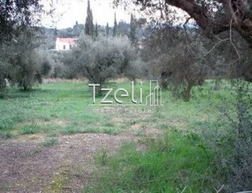 Land plot 1.400sqm for sale-Paralia » Rogitika