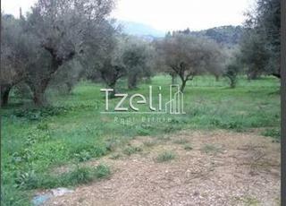 Οικόπεδο 1.400 τ.μ. για πώληση, Αχαΐα, Παραλία-thumb-4
