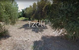 Οικόπεδο 1.400 τ.μ. για πώληση, Αχαΐα, Παραλία-thumb-6