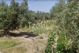 Οικόπεδο 1.400 τ.μ. για πώληση, Αχαΐα, Παραλία-thumb-7