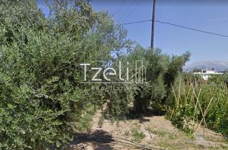 Οικόπεδο 1.400 τ.μ. για πώληση, Αχαΐα, Παραλία-thumb-23