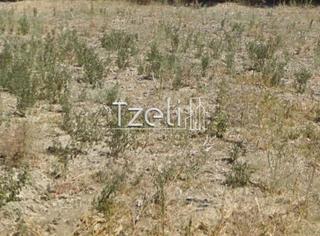 Οικόπεδο 1.400 τ.μ. για πώληση, Αχαΐα, Παραλία-thumb-26