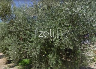Οικόπεδο 1.400 τ.μ. για πώληση, Αχαΐα, Παραλία-thumb-27
