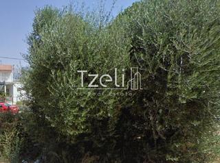 Οικόπεδο 1.400 τ.μ. για πώληση, Αχαΐα, Παραλία-thumb-29