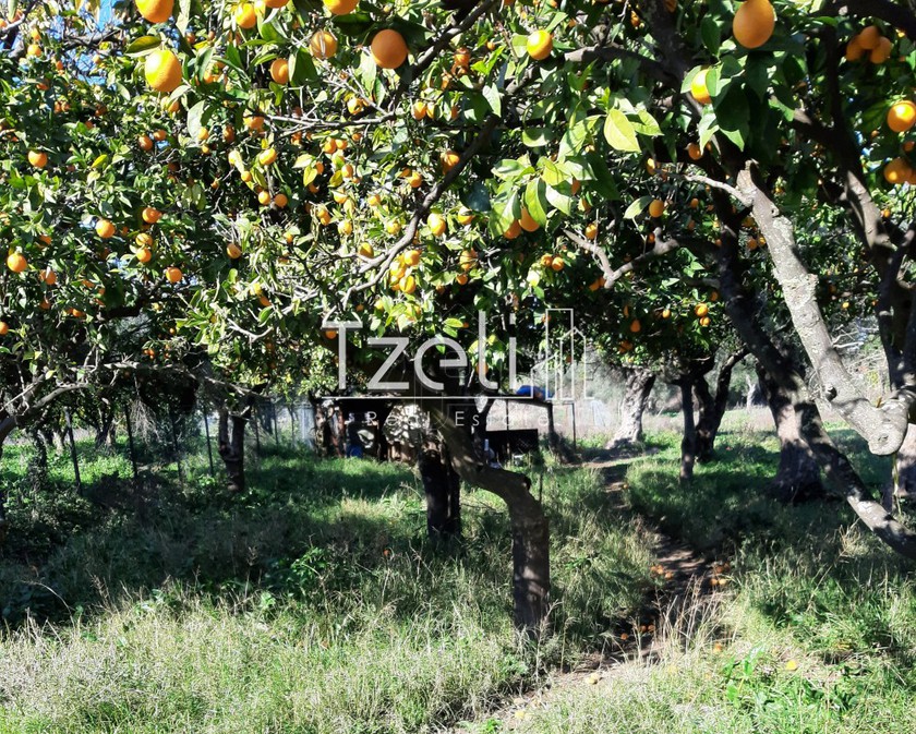 Land plot 500sqm for sale-Patra » Taraboura
