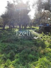 Οικόπεδο 500 τ.μ. για πώληση, Αχαΐα, Πάτρα-thumb-8