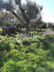 Οικόπεδο 500 τ.μ. για πώληση, Αχαΐα, Πάτρα-thumb-13