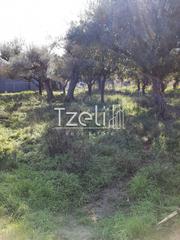 Οικόπεδο 500 τ.μ. για πώληση, Αχαΐα, Πάτρα-thumb-16