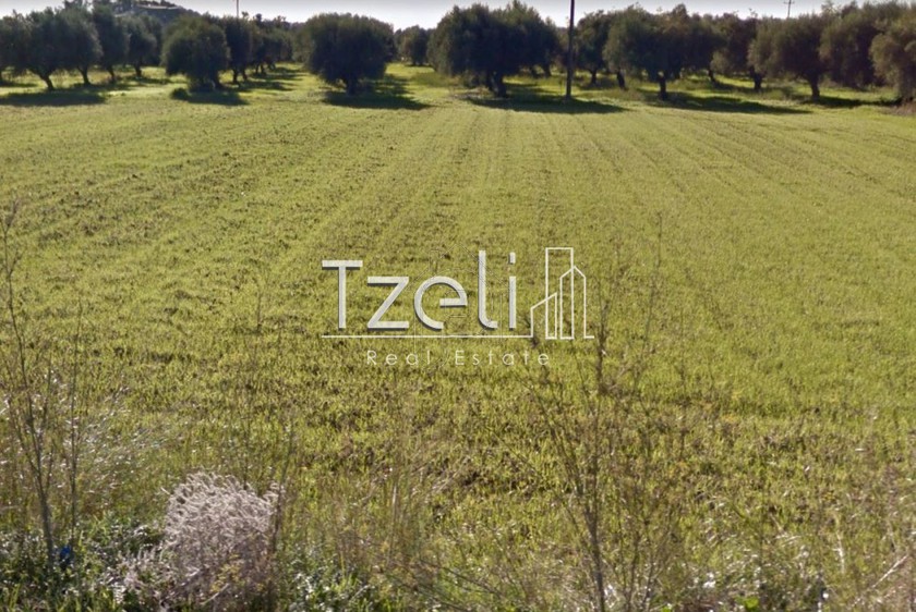 Parcel 17.000sqm for sale-Larissos » Lapas