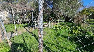 Οικόπεδο 260 τ.μ. για πώληση, Αχαΐα, Ρίο-thumb-8