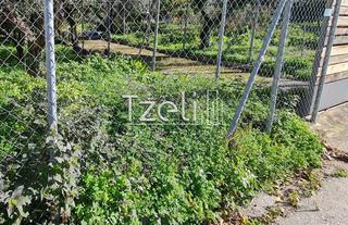 Οικόπεδο 260 τ.μ. για πώληση, Αχαΐα, Ρίο-thumb-11