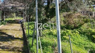 Οικόπεδο 260 τ.μ. για πώληση, Αχαΐα, Ρίο-thumb-15