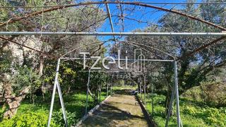 Οικόπεδο 260 τ.μ. για πώληση, Αχαΐα, Ρίο-thumb-23