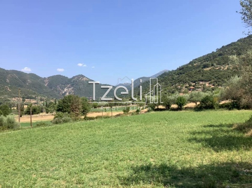 Οικόπεδο 3.770 τ.μ. για πώληση