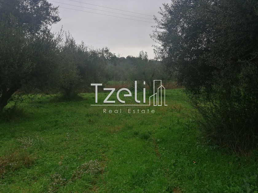 Land plot 3.200sqm for sale-Vrachneika » Monodendri