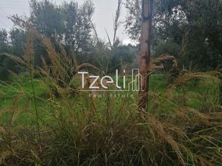 Οικόπεδο 3.200 τ.μ. για πώληση, Αχαΐα, Βραχναίικα-thumb-11