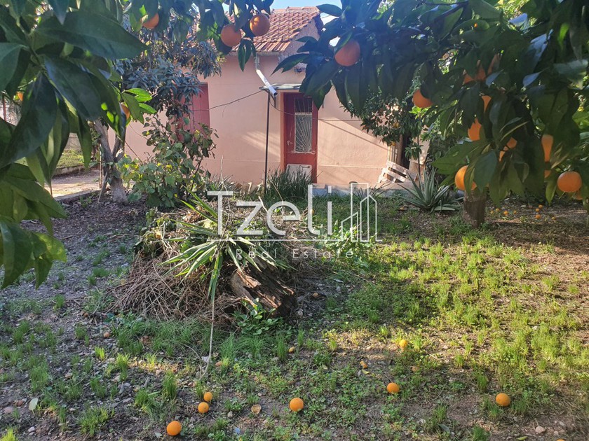 Land plot 730sqm for sale-Patra » Begoulaki