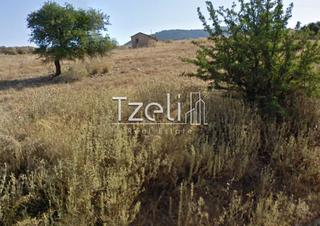 Οικόπεδο 527 τ.μ. για πώληση, Αχαΐα, Μεσσατίδα-thumb-1