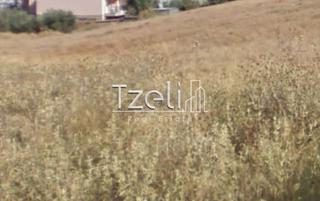 Οικόπεδο 527 τ.μ. για πώληση, Αχαΐα, Μεσσατίδα-thumb-8