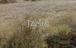 Οικόπεδο 527 τ.μ. για πώληση, Αχαΐα, Μεσσατίδα-thumb-14