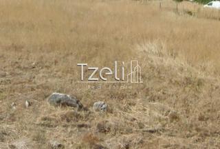 Οικόπεδο 527 τ.μ. για πώληση, Αχαΐα, Μεσσατίδα-thumb-16