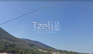 Οικόπεδο 527 τ.μ. για πώληση, Αχαΐα, Μεσσατίδα-thumb-17