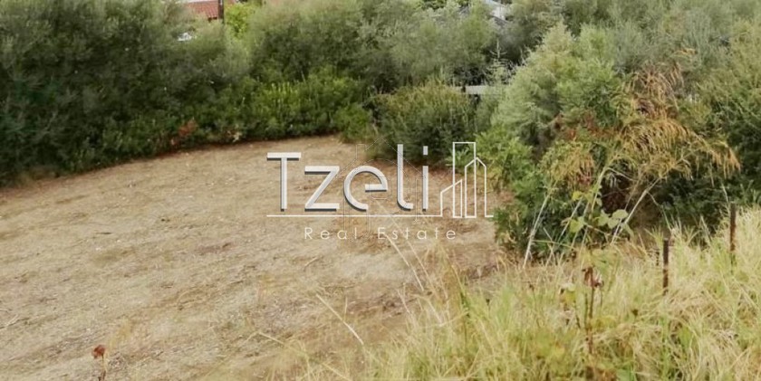 Land plot 555sqm for sale-Vrachneika » Monodendri