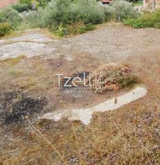 Οικόπεδο 555 τ.μ. για πώληση, Αχαΐα, Βραχναίικα-thumb-18