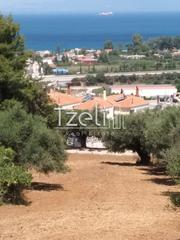 Οικόπεδο 3.693 τ.μ. για πώληση, Αχαΐα, Παραλία-thumb-3