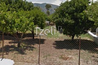 Οικόπεδο 3.693 τ.μ. για πώληση, Αχαΐα, Παραλία-thumb-17