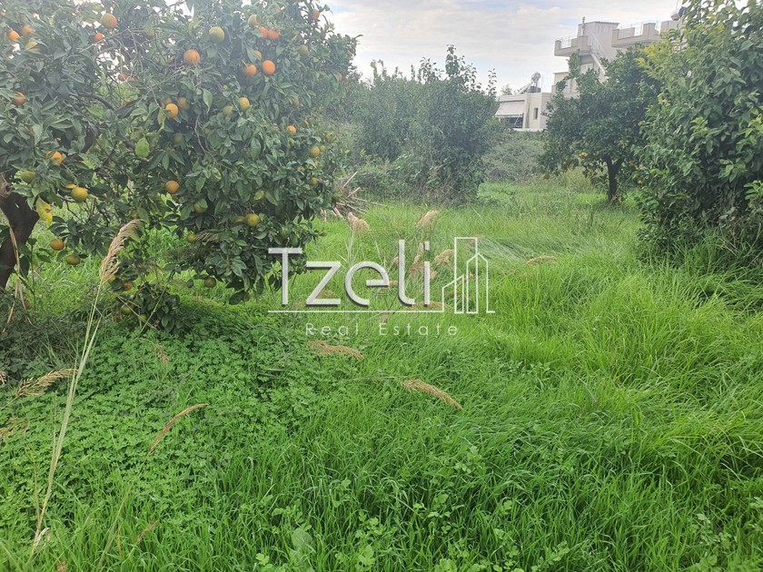 Land plot 500sqm for sale-Vrachneika » Monodendri
