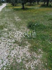 Οικόπεδο 565 τ.μ. για πώληση, Αχαΐα, Ρίο-thumb-10