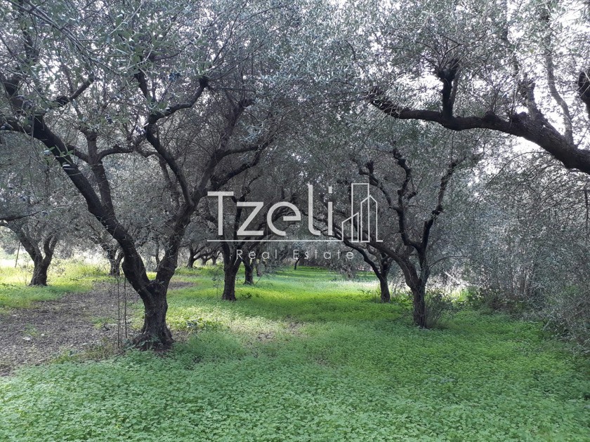 Parcel 1.500sqm for sale-Rio » Magoula