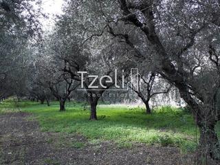 Αγροτεμάχια 1.500 τ.μ. για πώληση, Αχαΐα, Ρίο-thumb-9